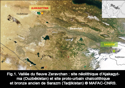 Mission archéologique française en Asie centrale (MAFAC) (Ouzbékistan-Tadjikistan)