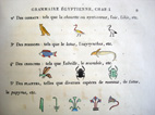 Page aquarellée de la Grammaire égyptienne de Jean-François Champollion, éditée par son frère en 1836 - © Société Asiatique